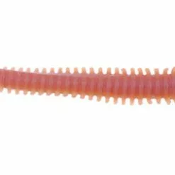 BERKLEY - Pure Fishing Berkley Gulp! Alive Nereis 15cm - Seeringelwurm 14 Stück -Angelzubehör Verkaufsgeschäft 1309096sLq06AGR0BZI3 1280x1280