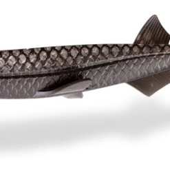 Quantum Pelagic Shad - Gummifisch -Angelzubehör Verkaufsgeschäft 3456001hrWVwcDUH6L8Z 1280x1280