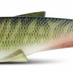 Iron Claw Belly Boy NG Nature - Gummifisch -Angelzubehör Verkaufsgeschäft 8382 701vO758PzPAyVu5 1280x1280