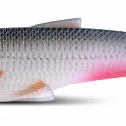 Iron Claw Belly Boy NG Nature - Gummifisch -Angelzubehör Verkaufsgeschäft 8382 7024nk9xVrgEiSAj 1280x1280