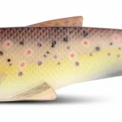 Iron Claw Belly Boy NG Nature - Gummifisch -Angelzubehör Verkaufsgeschäft 8382 703xoJHSTzAGZoLk 1280x1280