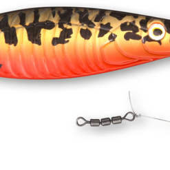 ZEBCO Bulben - Inline-Blinker -Angelzubehör Verkaufsgeschäft Zebco Bulben 3370002LnWdFtgDUQNbI 1280x1280