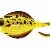 Westin Flat Matt Jig -- Golden Flounder - 28g - 85g -Angelzubehör Verkaufsgeschäft s080 356 x1 large 772667 1280x1280